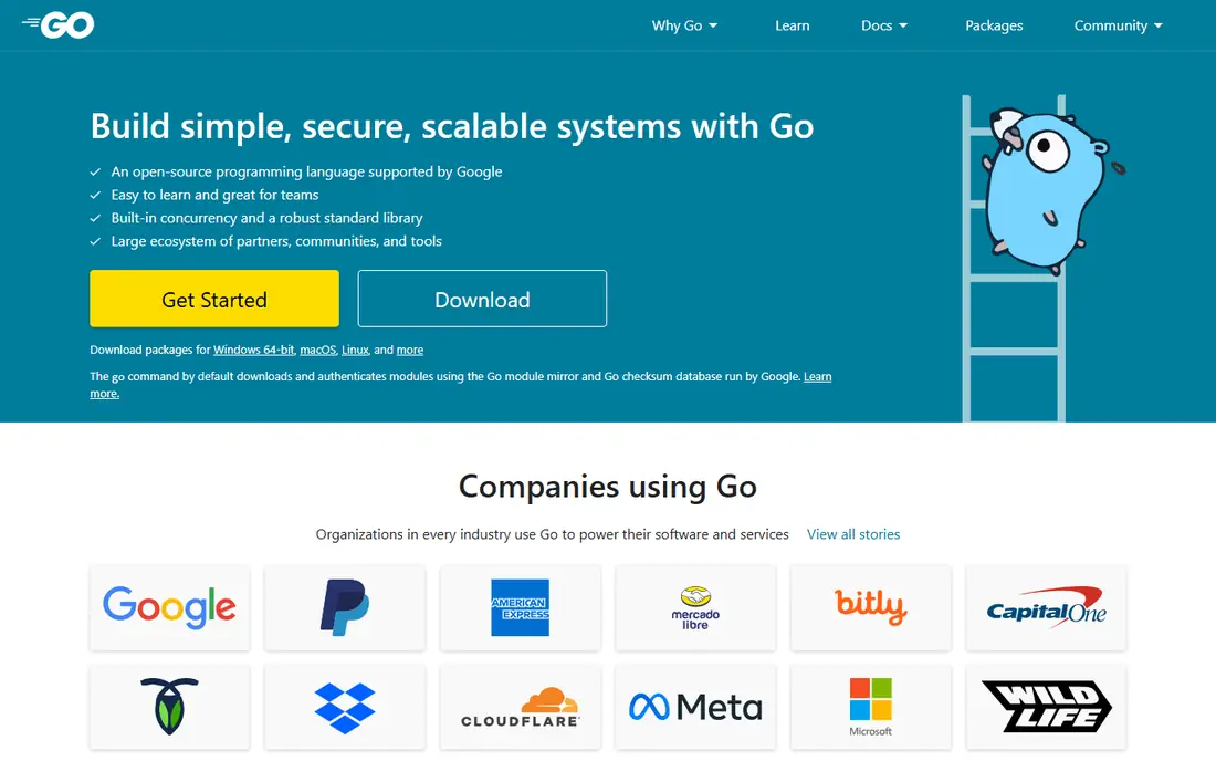 Go homepage