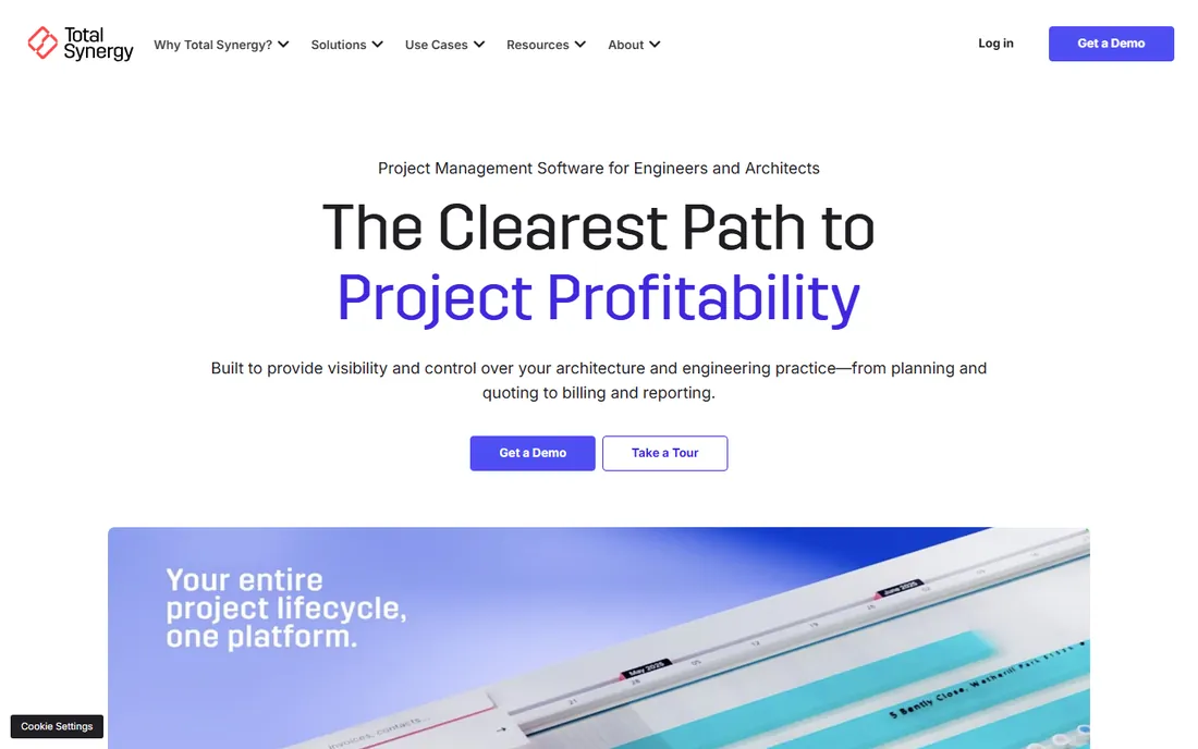 Total Synergy homepage