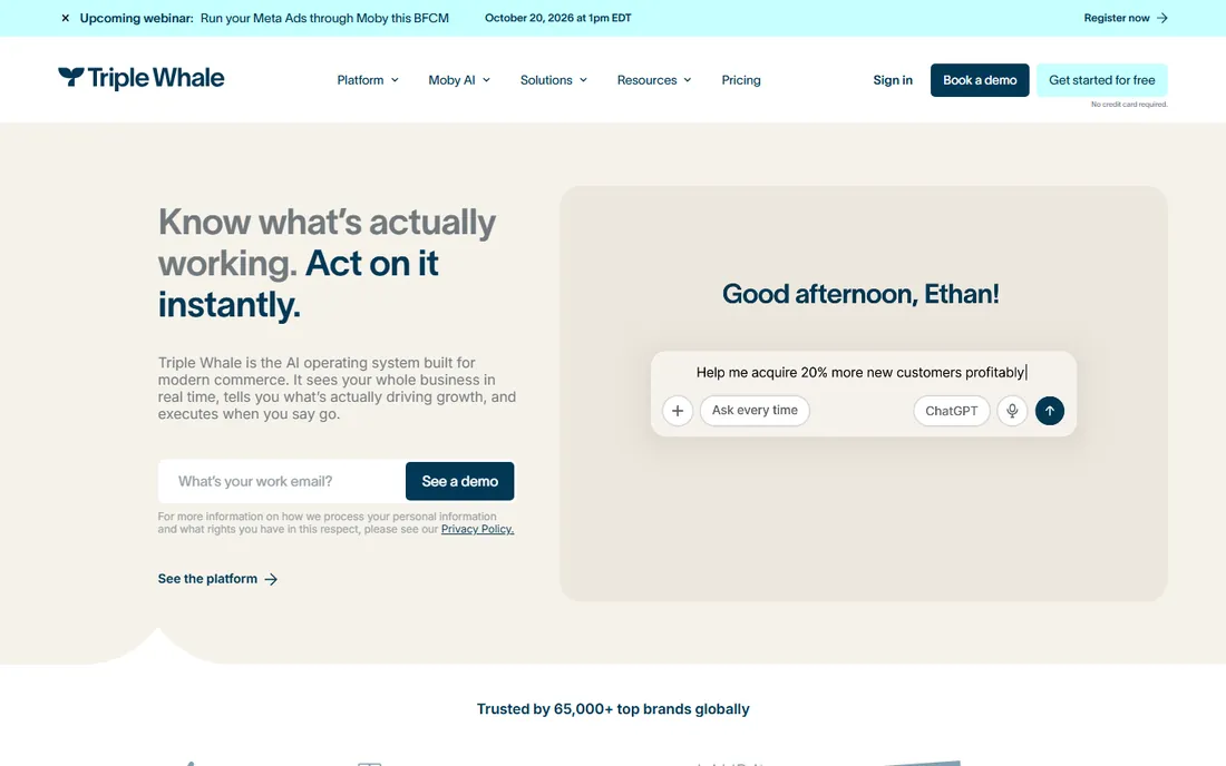 Triple Whale homepage