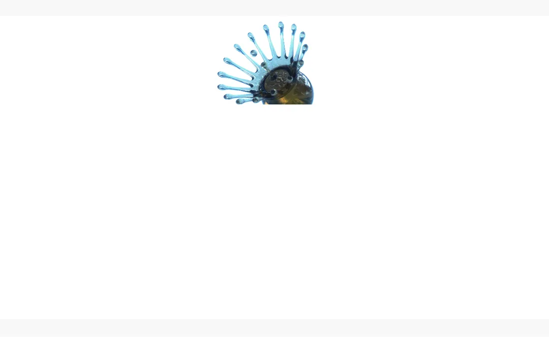 Everflow homepage