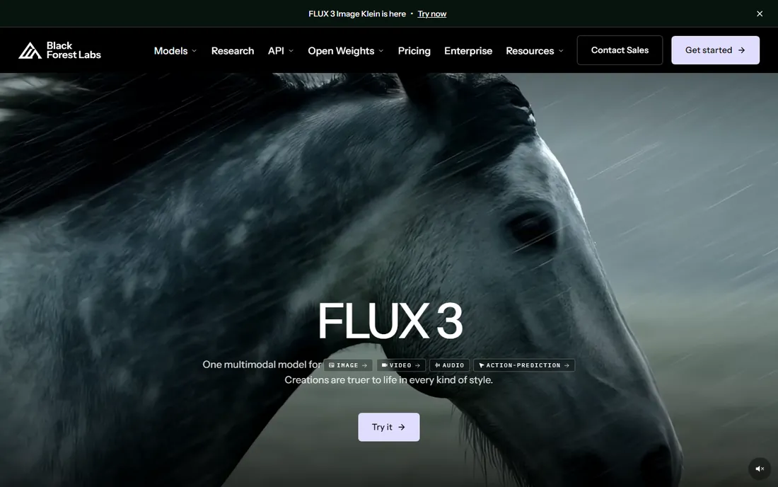 Black Forest Labs homepage