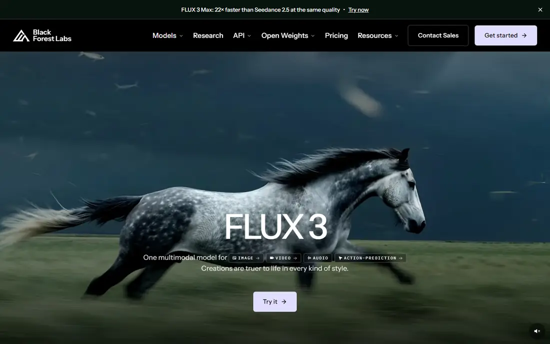 Flux (Black Forest Labs) homepage