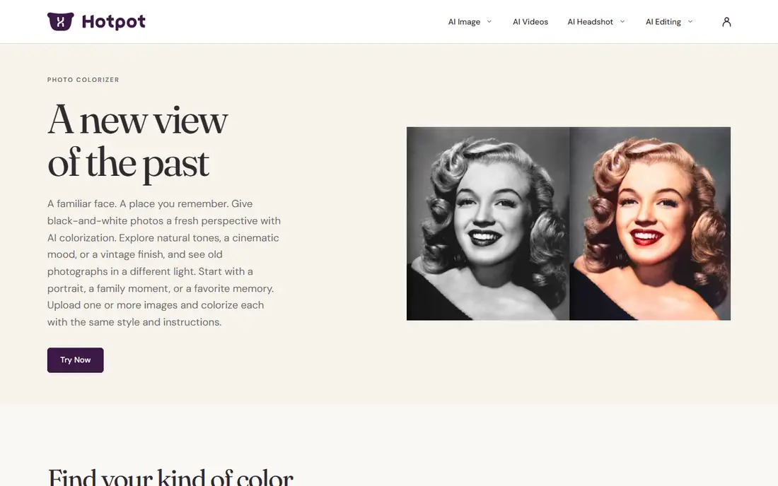 Hotpot.ai Colorizer homepage