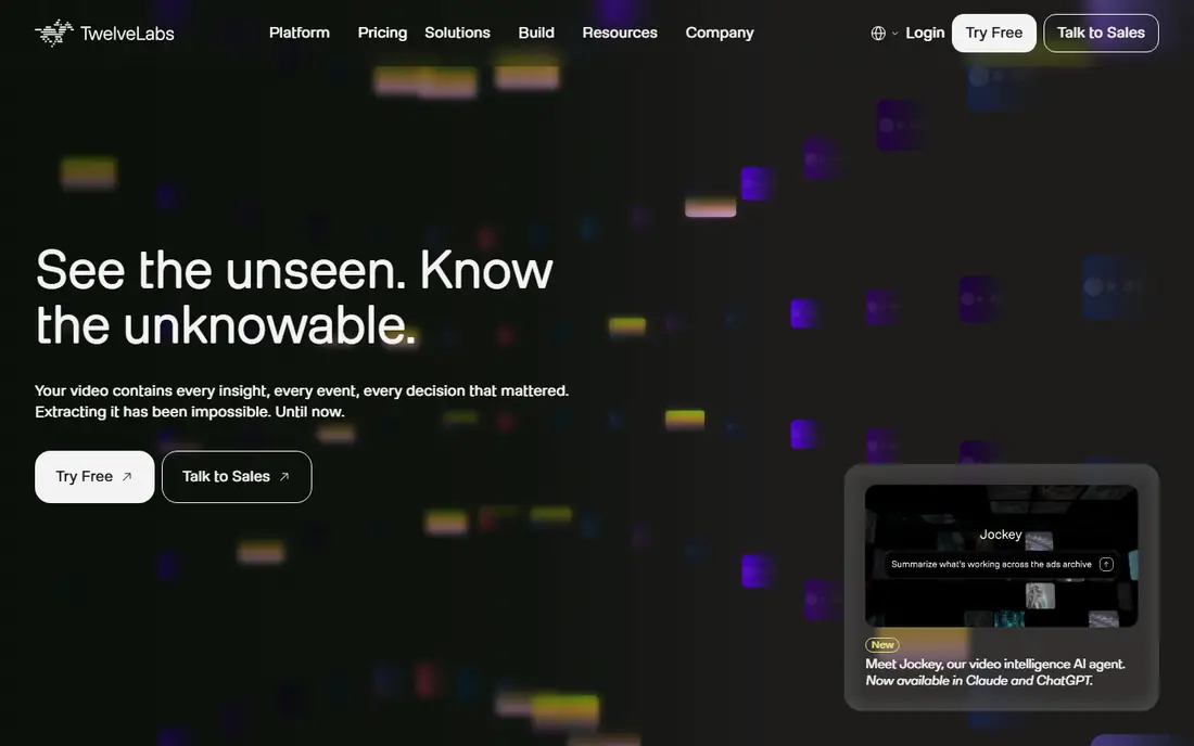 Twelve Labs homepage