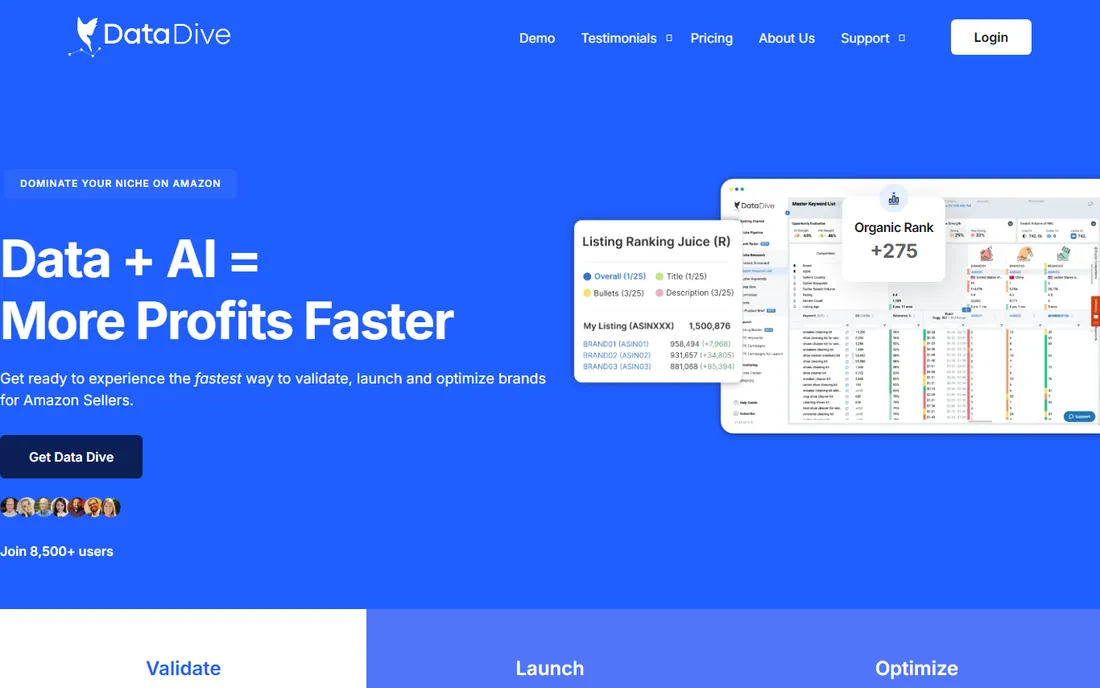 DataDive homepage
