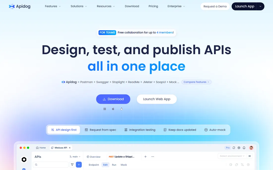 Apidog homepage