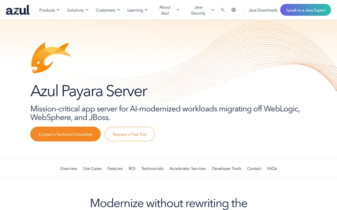 Payara Server (Azul) homepage