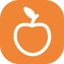 WildApricot logo