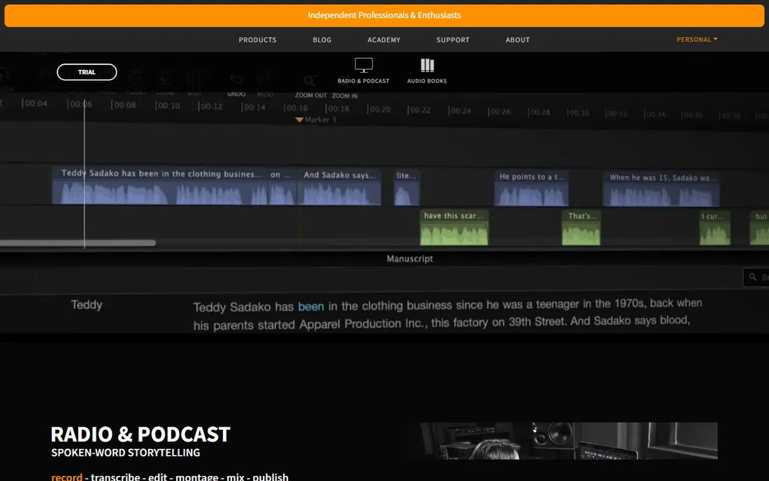 Hindenburg PRO homepage