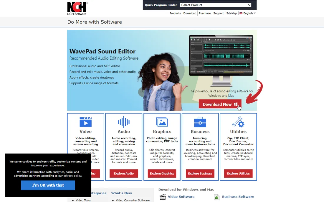 WavePad homepage