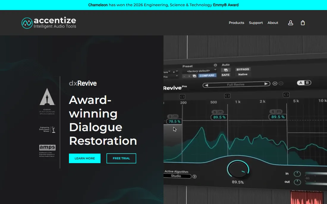 Accentize DeRoom Pro homepage