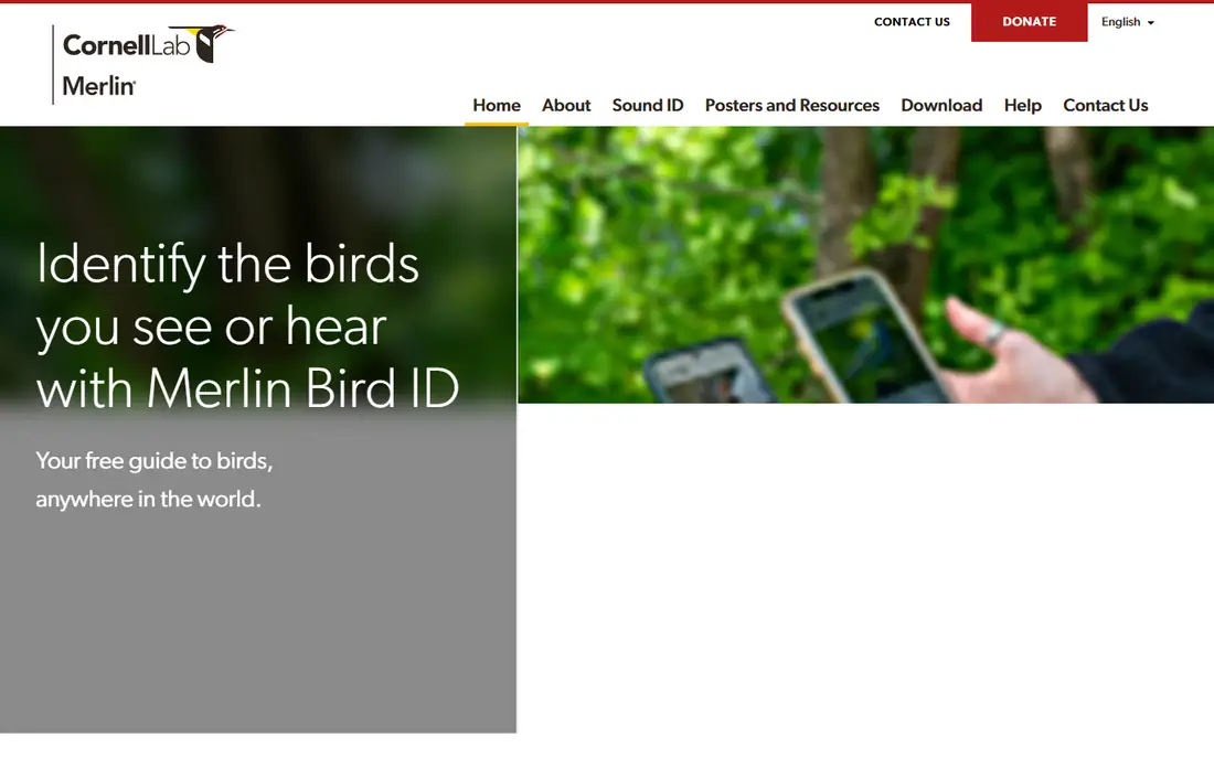Merlin Bird ID homepage