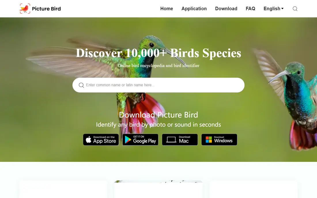 Picture Bird homepage