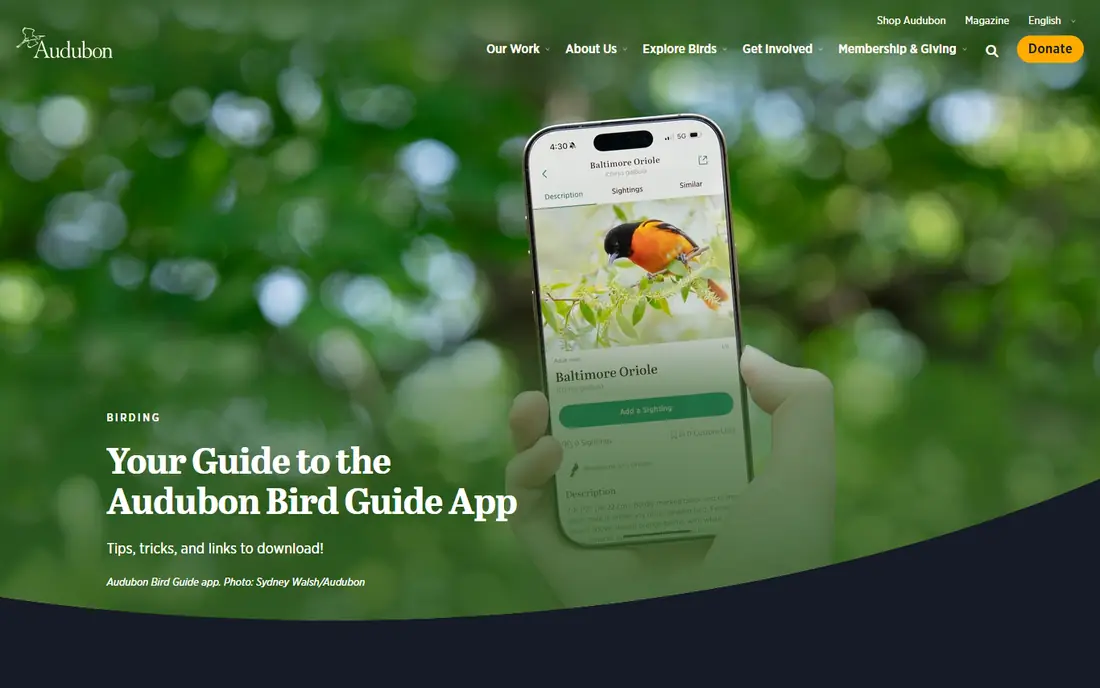 Audubon Bird Guide homepage