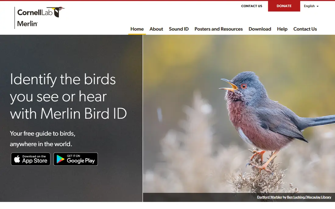 Merlin Bird ID homepage