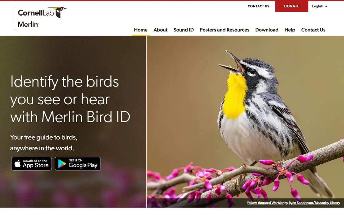 Merlin Bird ID homepage