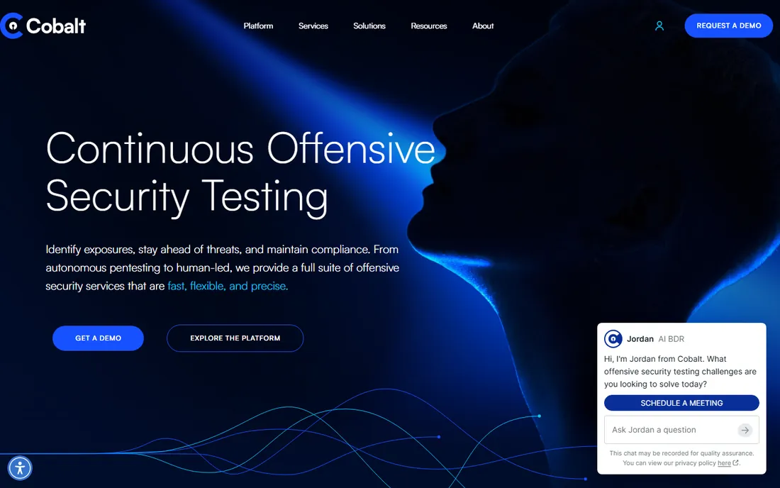 Cobalt homepage