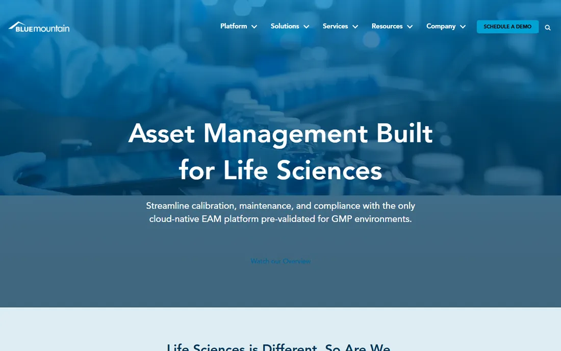 Blue Mountain RAM homepage