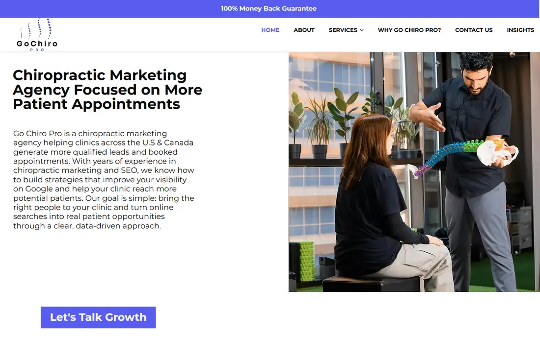 Go Chiro Pro homepage