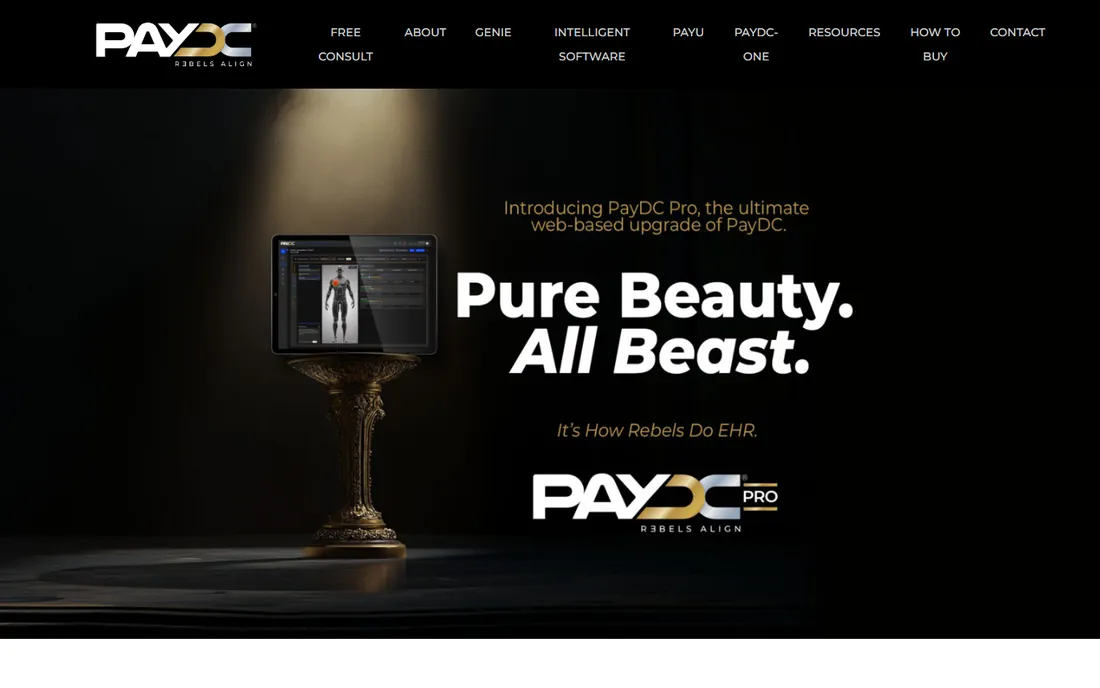 PayDC homepage