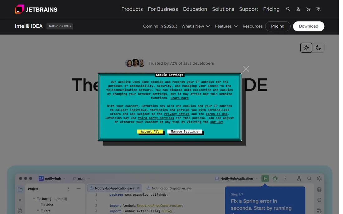 JetBrains IntelliJ IDEA homepage