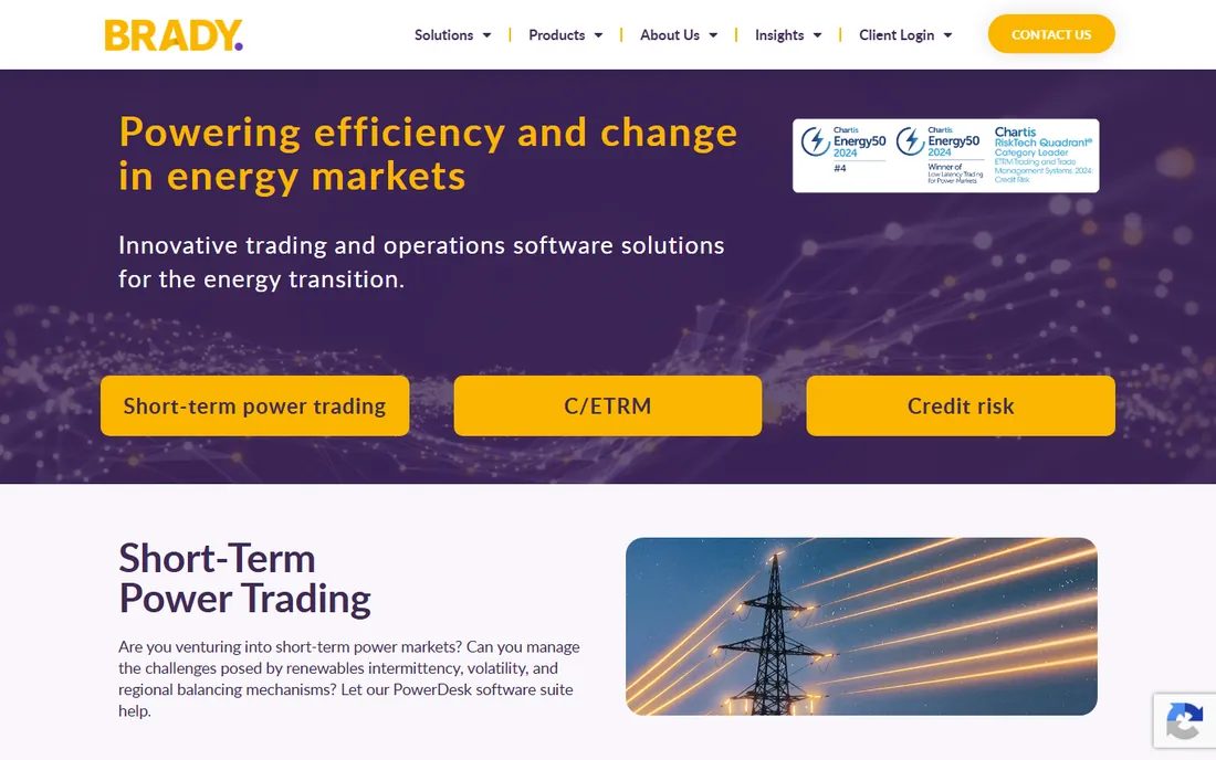 Brady Technologies homepage