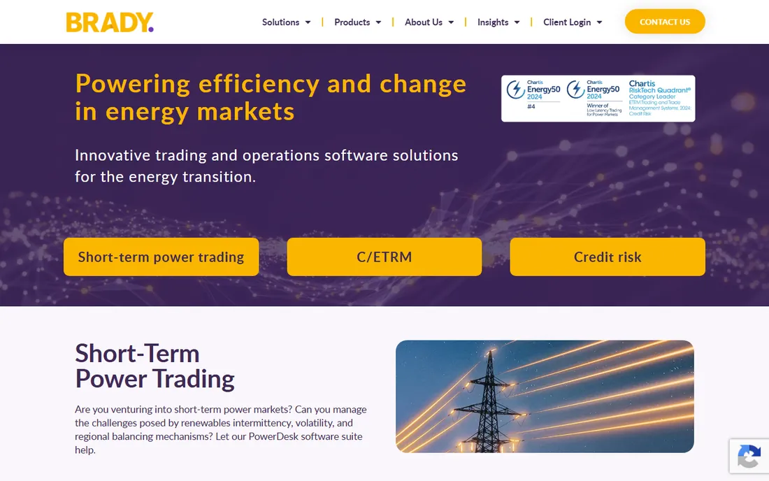 Brady Technologies homepage