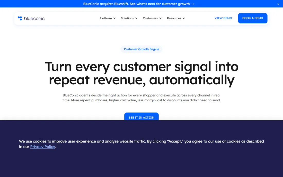 BlueConic homepage