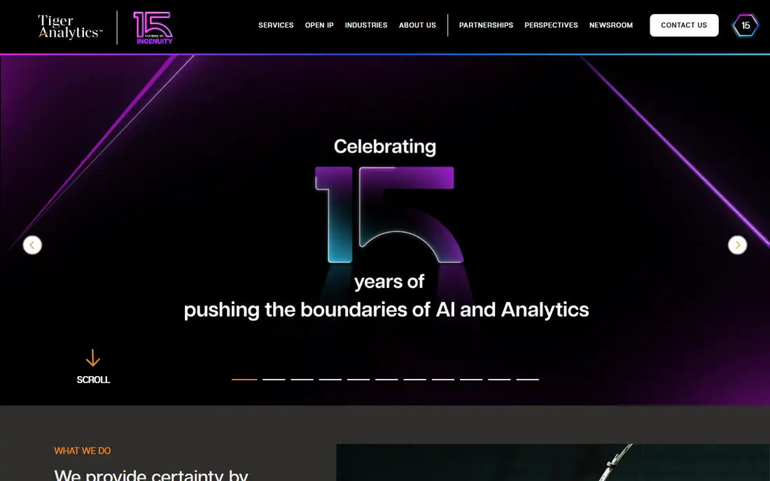 Tiger Analytics homepage