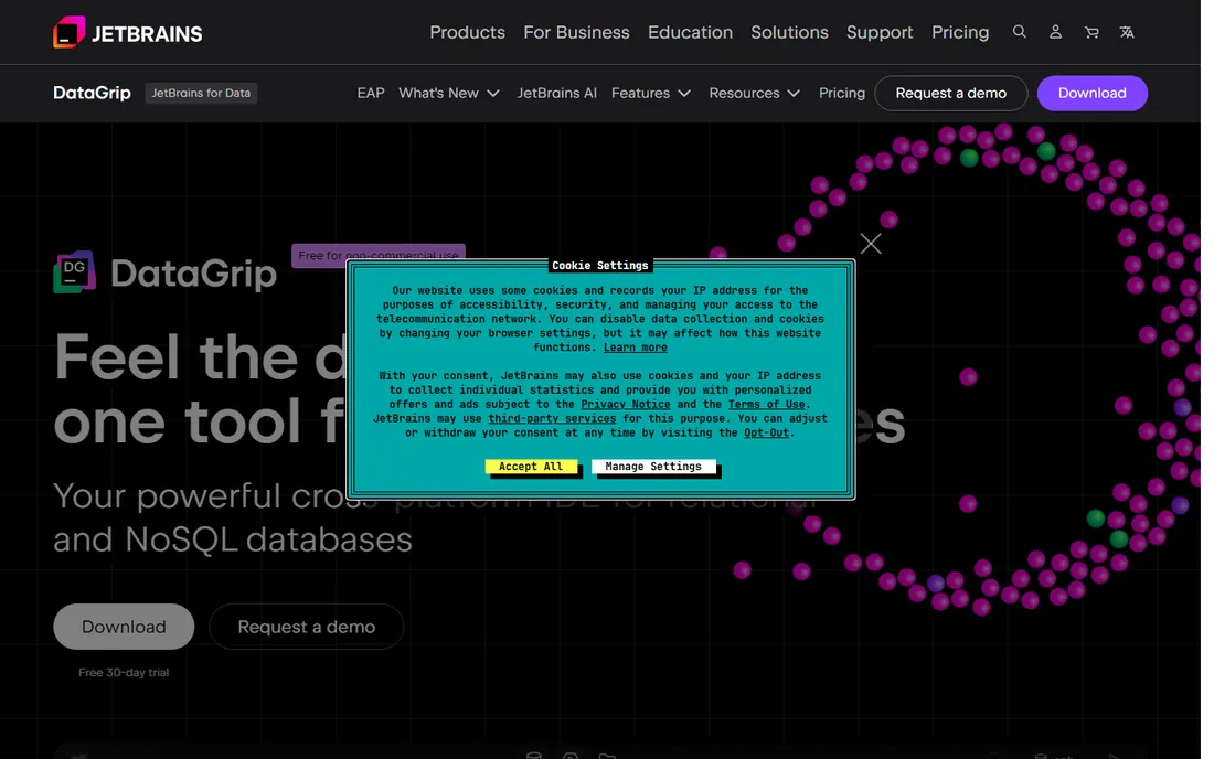 DataGrip homepage