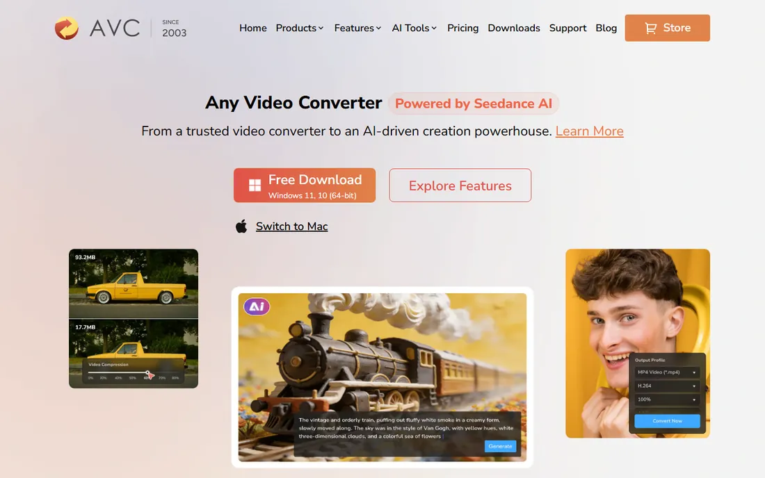 Any Video Converter homepage