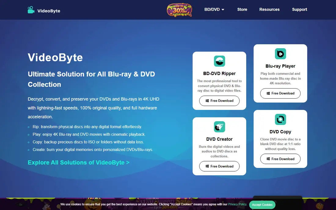 VideoByte BD-DVD Ripper homepage
