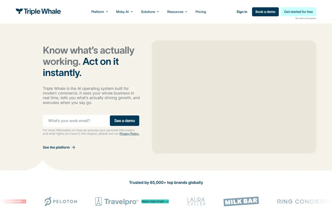 Triple Whale homepage
