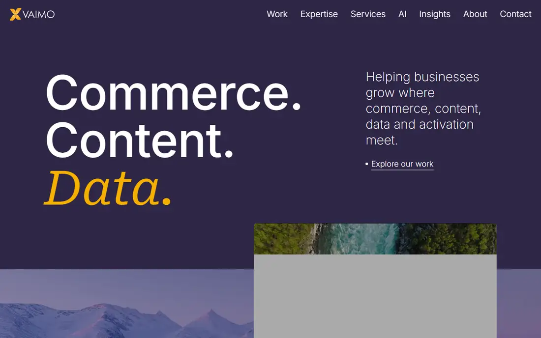 Vaimo homepage