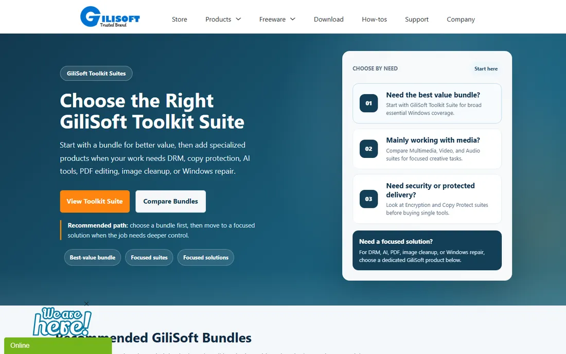 Gilisoft Video Encryptor homepage