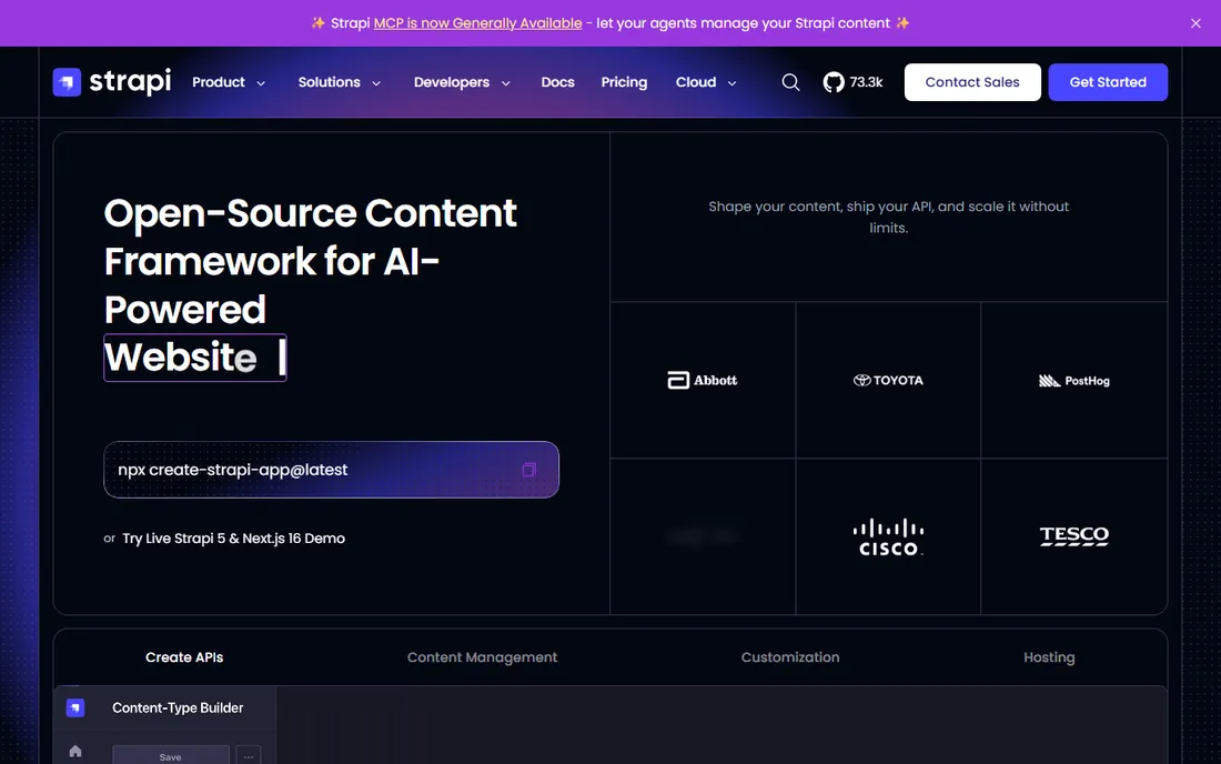 Strapi homepage