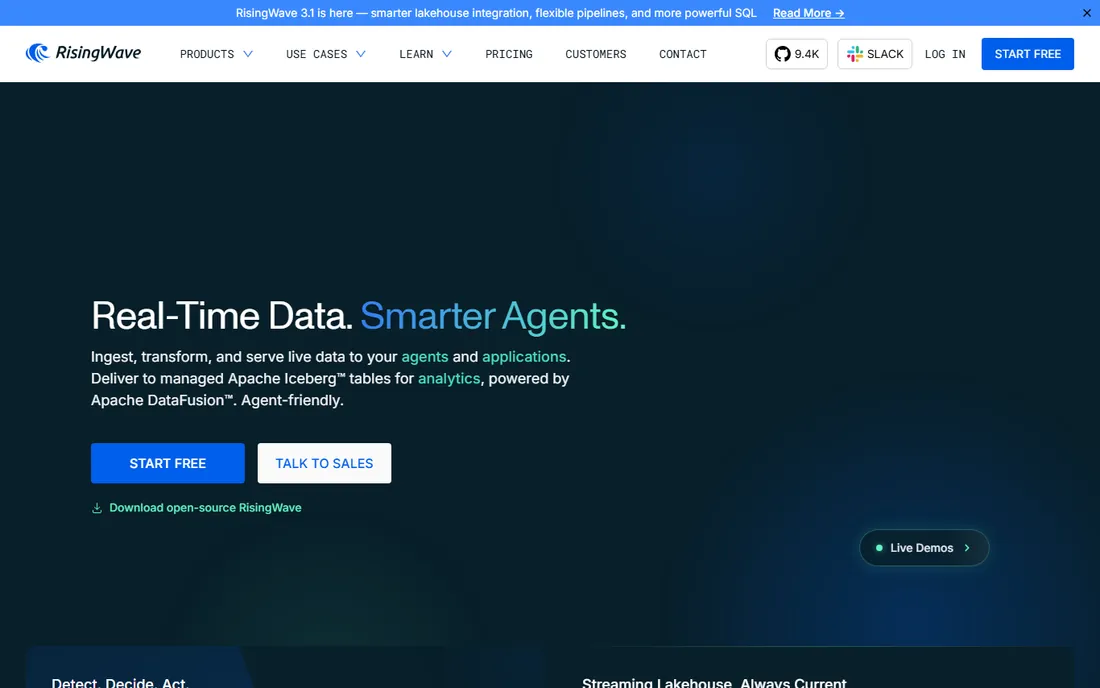 RisingWave homepage