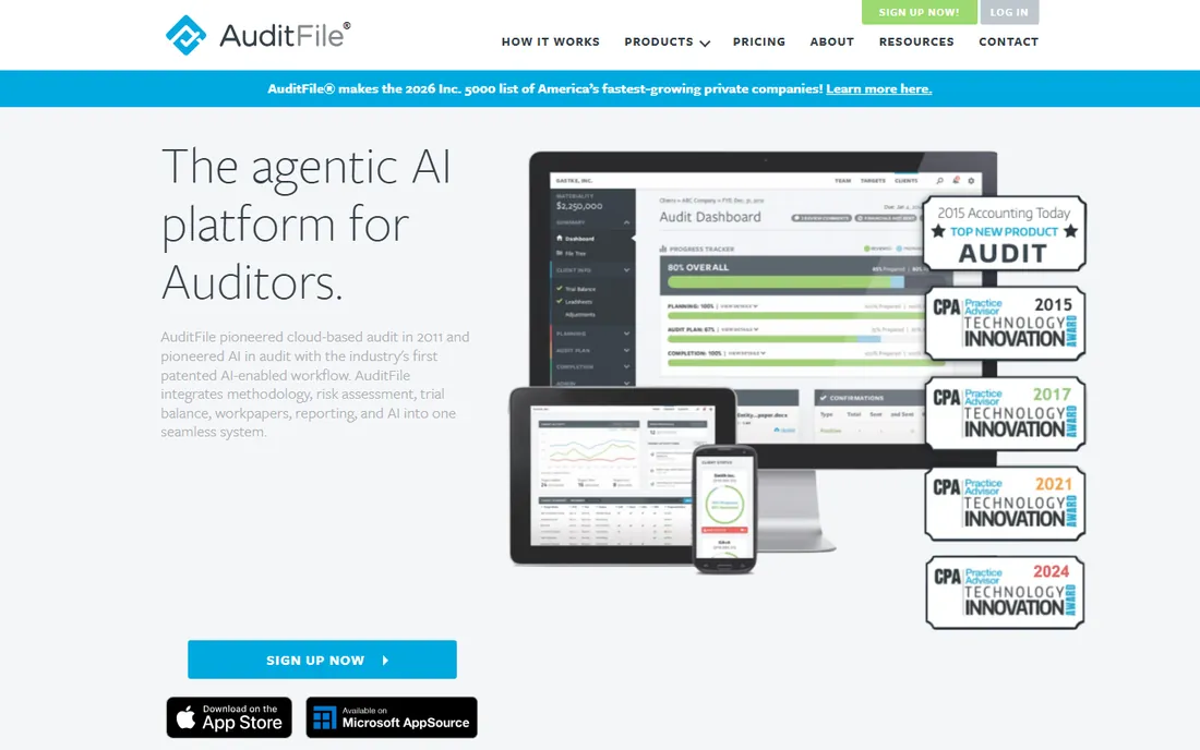 AuditFile homepage