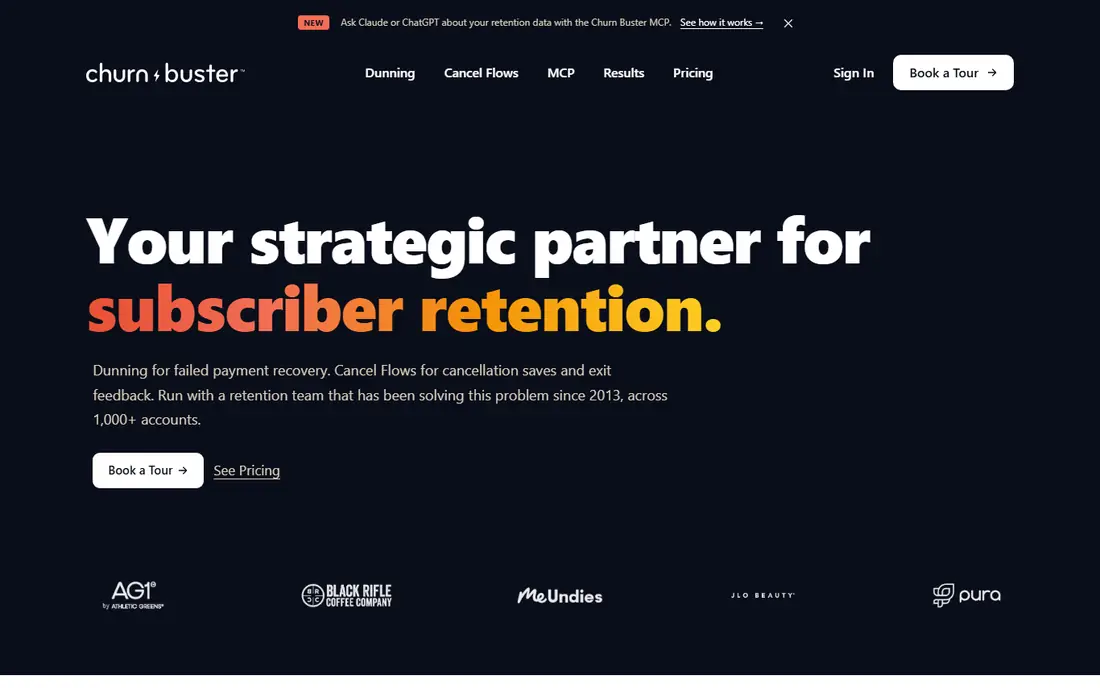 ChurnBuster homepage