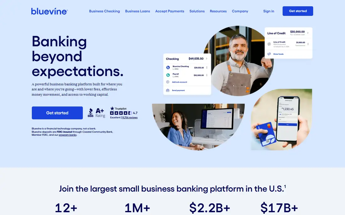 Bluevine homepage