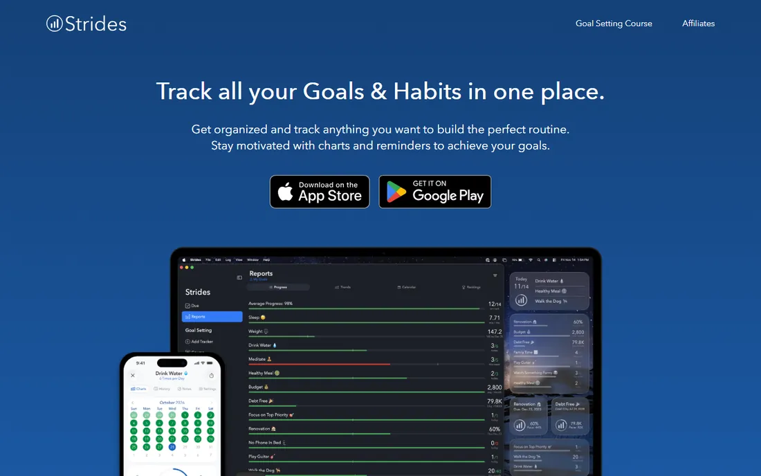 Strides homepage