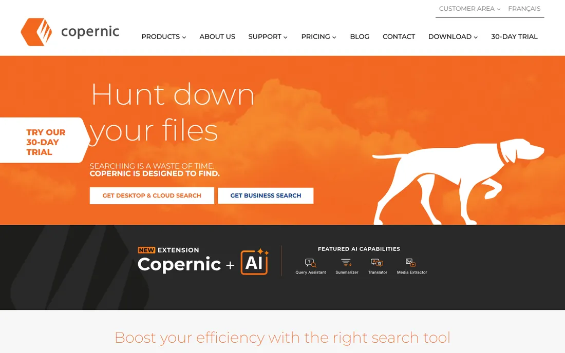 Copernic Desktop Search homepage