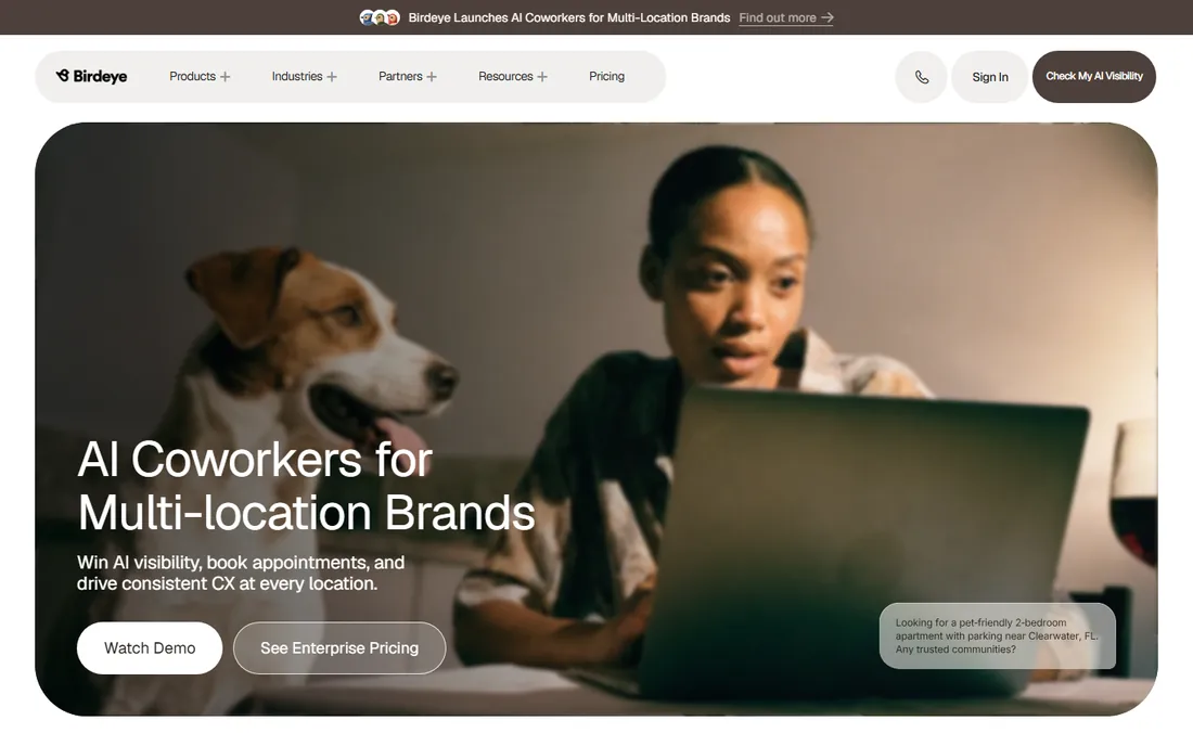 Birdeye homepage