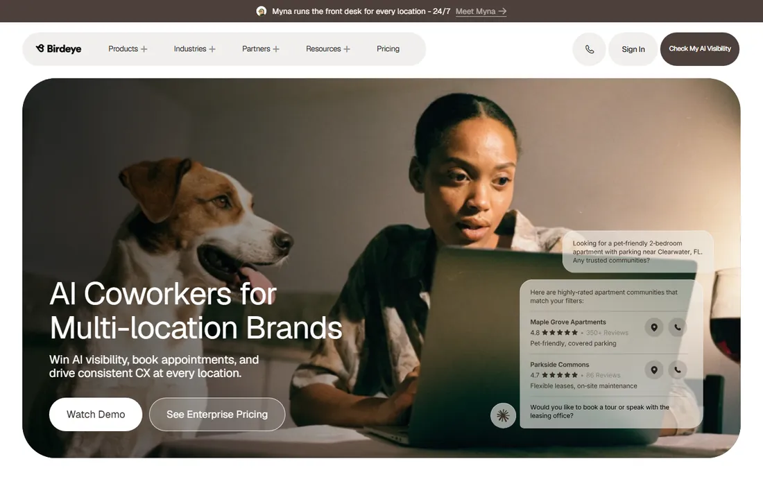 Birdeye homepage
