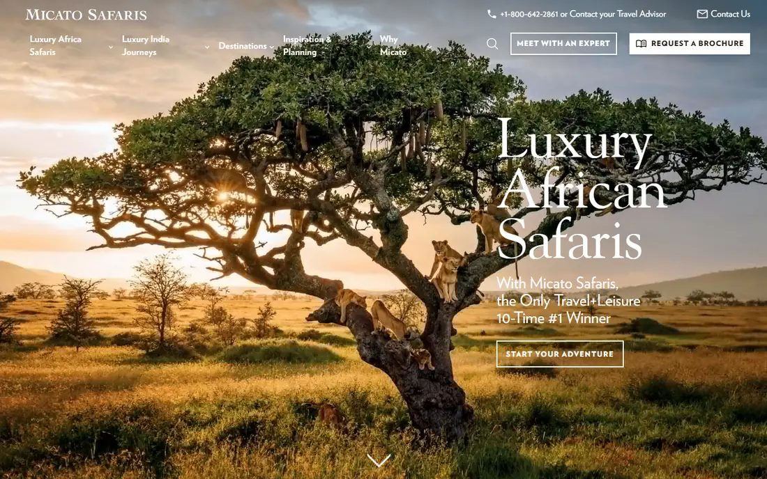 Micato Safaris homepage
