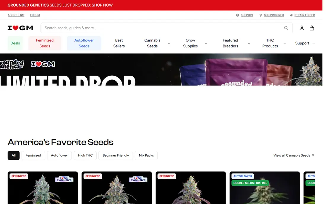 ILGM homepage
