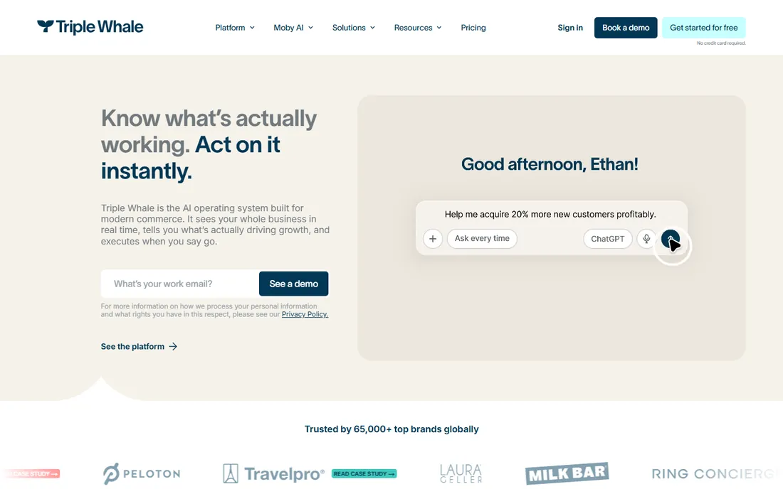 Triple Whale homepage