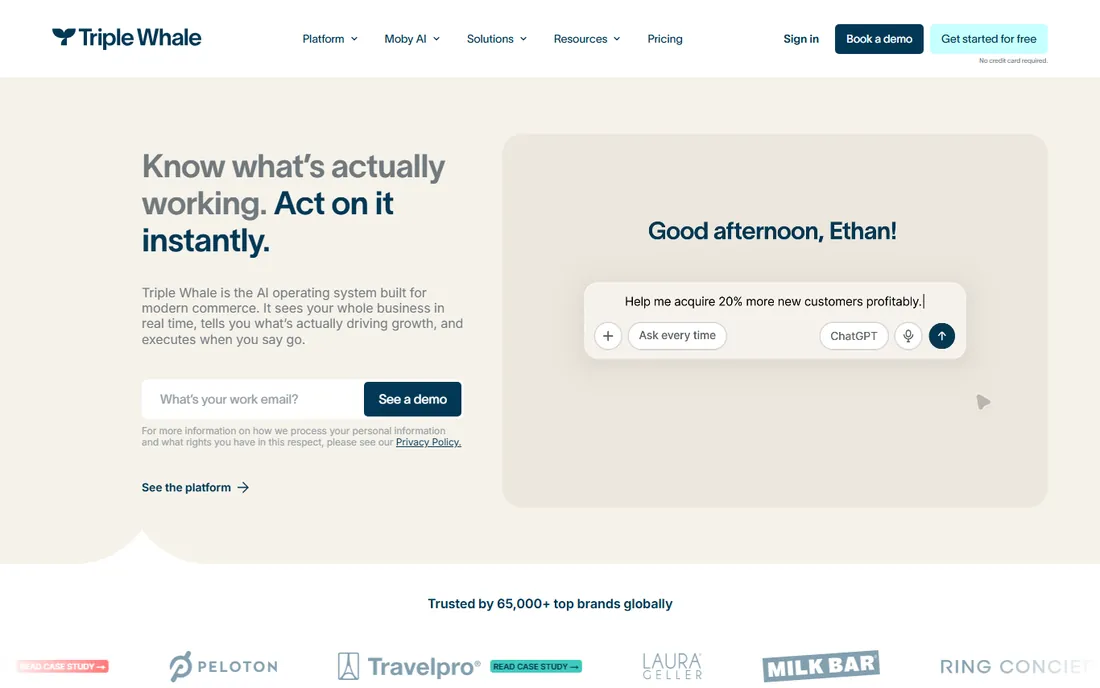 Triple Whale homepage