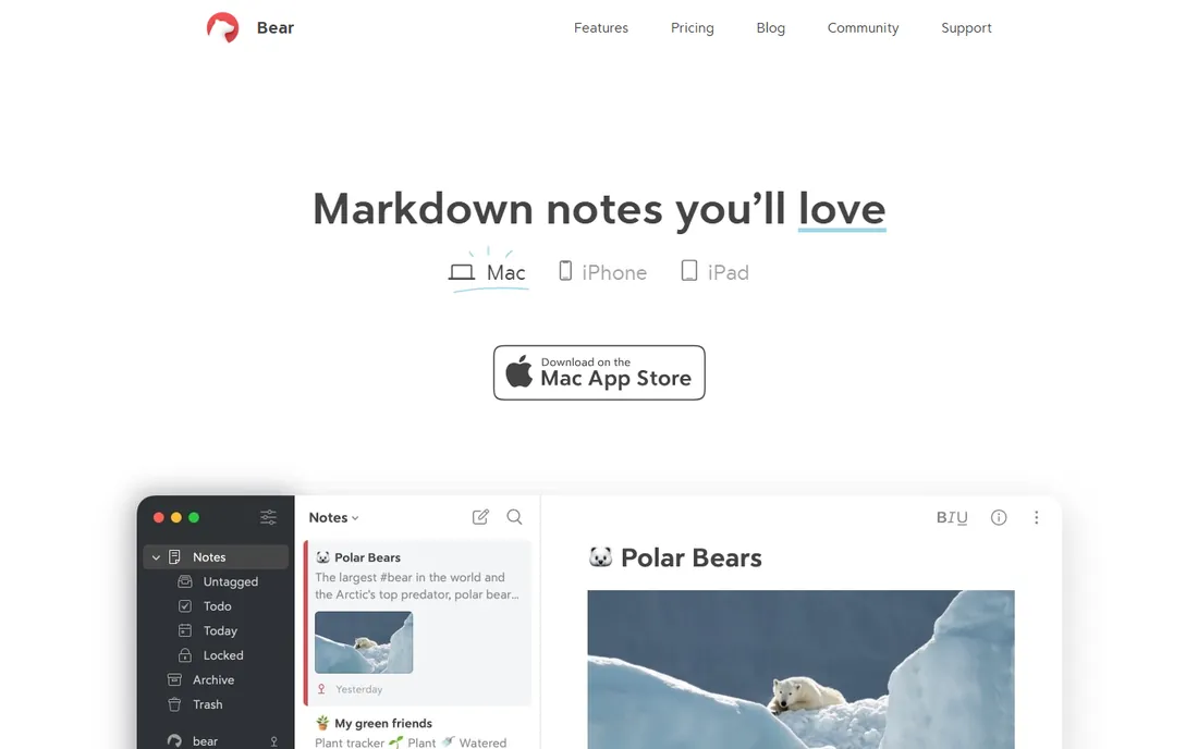 Bear homepage