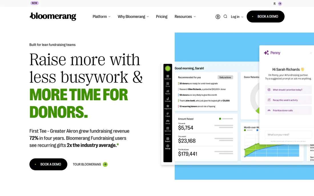 Bloomerang homepage